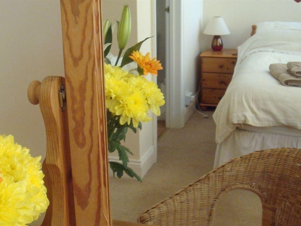 Harlequin Guest House With Parking Weymouth Exteriör bild